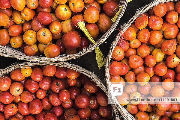 Tomaten auf dem Morgenmarkt in Hpa An  Bundesstaat Kayin (Karen-Staat)  Myanmar (Birma)  Asien
