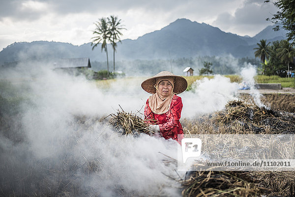 Farmer burning crops in rice paddy fields  Bukittinggi  West Sumatra  Indonesia  Southeast Asia  Asia