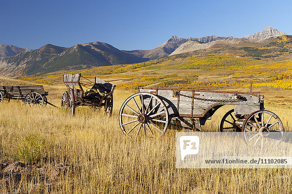 Old horse-drawn wagons with the Rocky Mountains in the Background  near Waterton Lakes National Park  Alberta  Canada  North America