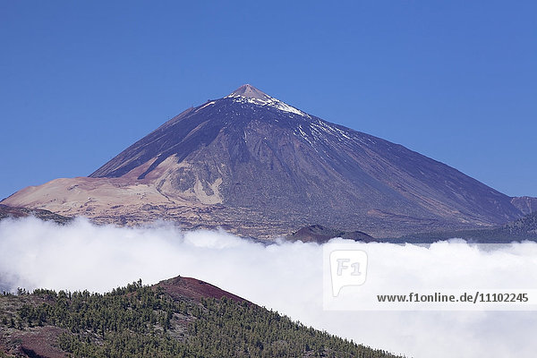 Pico del Teide  National Park Teide  UNESCO World Heritage Natural Site  Tenerife  Canary Islands  Spain  Europe