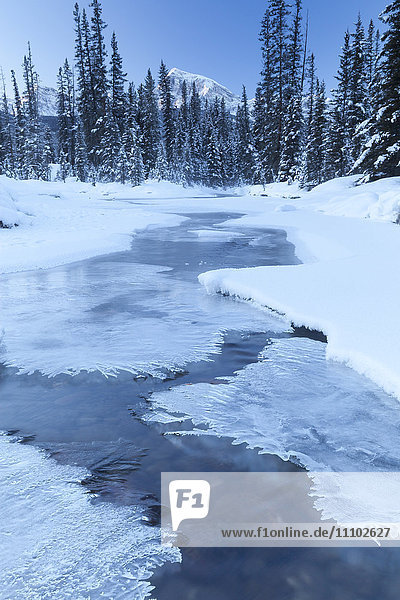 Small Stream in Winter,  Banff National Park,  Alberta,  Canada,  North America