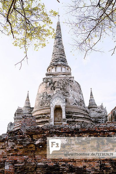 Stupa (Chedi) im Wat Mahathat  Ayutthaya  UNESCO-Weltkulturerbe  Thailand  Südostasien  Asien