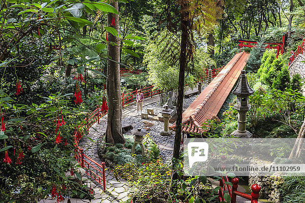 Oriental garden Monte Palace Tropical Garden one of Madeira's most famous Monte Funchal Madeira Atlantic Portugal Europe