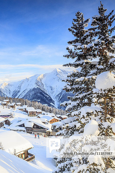 Verschneite Wälder und Berghütten umrahmt von der Wintersonne  Bettmeralp  Gemeinde Raron  Kanton Wallis  Schweiz  Europa