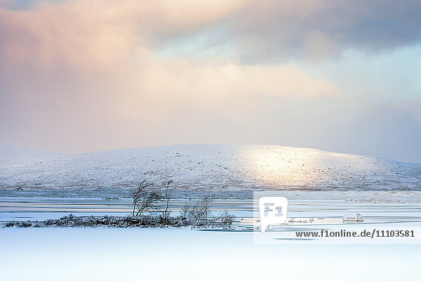 Winter view across Lochain na h'achlaise at dawn  Rannoch Moor  Highland  Scotland  United Kingdom  Europe
