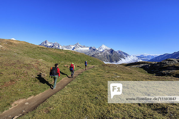 Hikers on a mountain path proceed towards the high peaks in a clear summer day  Gornergrat  Canton of Valais  Swiss Alps  Switzerland  Europe