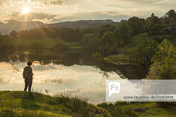 A woman looks out over Loughrigg Tarn near Ambleside in The Lake District National Park  Cumbria  England  United Kingdom  Europe