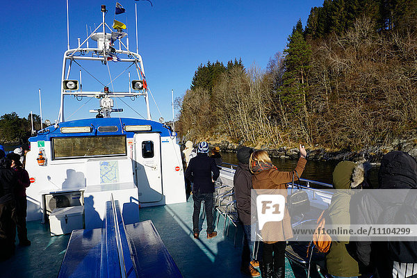 Touristenboot auf einem Fjord bei Bergen  Hordaland  Norwegen  Skandinavien  Europa