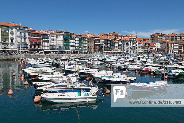 Traditionelle Fischerboote im Hafen von Lekeitio  Baskenland (Euskadi)  Spanien  Europa