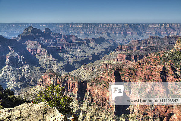 Vom Bright Angel Point  North Rim  Grand Canyon National Park  UNESCO-Weltkulturerbe  Arizona  Vereinigte Staaten von Amerika  Nordamerika