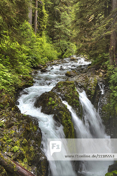 Sol Duc Falls  Olympic National Park  UNESCO-Welterbe  Washington  Vereinigte Staaten von Amerika  Nordamerika