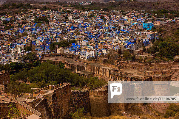 Die Palastmauern des Mehrangarh Forts ragen über die blauen Dächer in Jodhpur  der Blauen Stadt  Rajasthan  Indien  Asien
