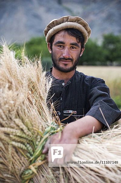 Ein Bauer hält ein frisch geschnittenes Weizenbündel im Panjshir-Tal  Afghanistan  Asien