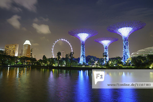 Supertree Grove in den Gardens by the Bay  einem futuristischen botanischen Garten und Park  bei Nacht beleuchtet  Marina Bay  Singapur  Südostasien  Asien