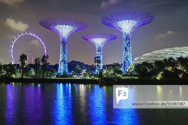 Supertree Grove in den Gardens by the Bay  einem futuristischen botanischen Garten und Park  bei Nacht beleuchtet  Marina Bay  Singapur  Südostasien  Asien