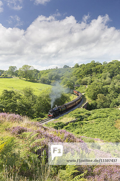 Eine Dampflokomotive  die Waggons durch Darnholme auf der North Yorkshire Steam Heritage Railway zieht  Yorkshire  England  Vereinigtes Königreich  Europa