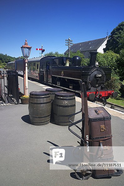 Ein Dampfzug nähert sich dem Bahnhof Staverton an der South Devon Railway  Staverton  Devon  England  Vereinigtes Königreich  Europa