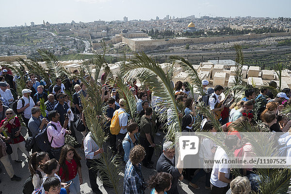 Katholische Palmsonntagsprozession  Ölberg  Jerusalem  Israel  Naher Osten