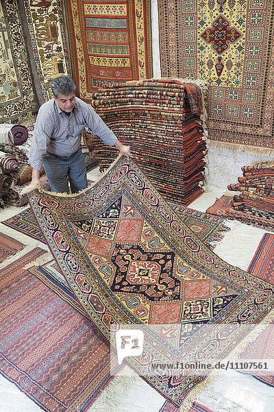 carpet trader  Mashhad  Iran  Western Asia