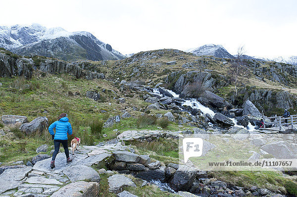 Hikers and climbers in Snowdonia National Park  Gwynedd  Wales  United Kingdom  Europe