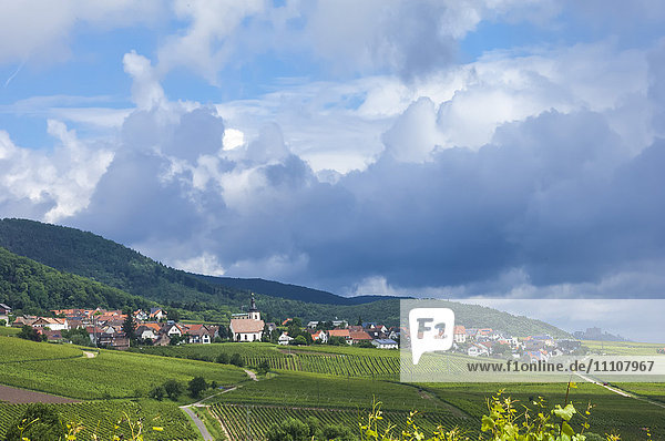 Dorf inmitten von Weinbergen in der Pfalz  Deutschland  Europa