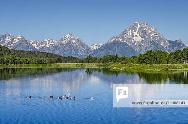 Small lake in Grand Teton National Park  Wyoming  United States of America  North America