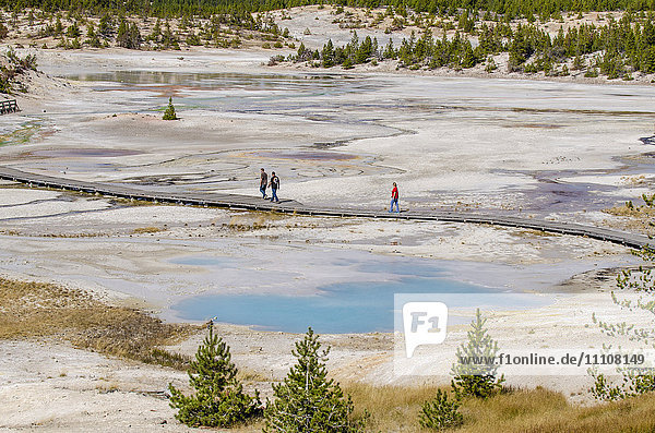 Norris Geyser Basin  Yellowstone National Park  UNESCO World Heritage Site  Wyoming  United States of America  North America