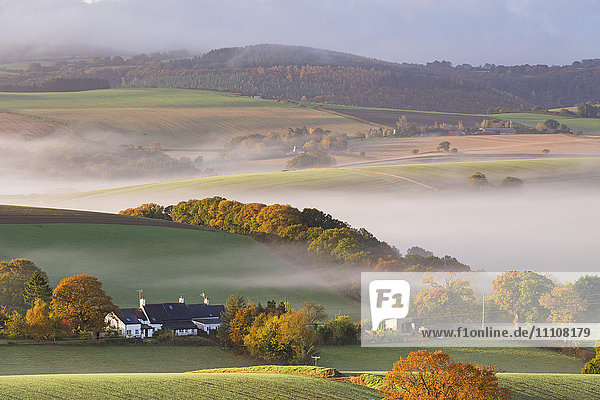 Cottages umgeben von idyllischer Hügellandschaft  Dartmoor National Park  Devon  England  Vereinigtes Königreich  Europa