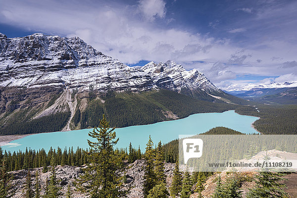 Der wunderschöne Peyto-See in den kanadischen Rockies  Banff-Nationalpark  UNESCO-Weltkulturerbe  Alberta  Kanada  Nordamerika