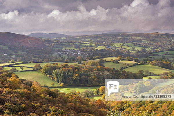 Schöne Herbstfarben über der hügeligen Landschaft des Dartmoor National Park  Devon  England  Vereinigtes Königreich  Europa