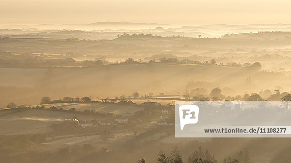 Misty Dartmoor countryside at dawn near the village of Throwleigh  Devon  England  United Kingdom  Europe