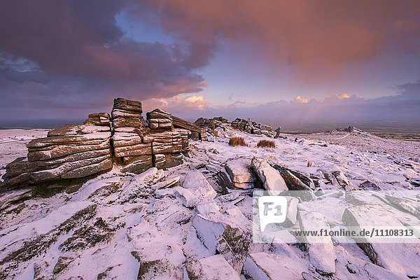 Snow dusted Belstone Tor at dawn  Dartmoor National Park  Devon  England  United Kingdom  Europe