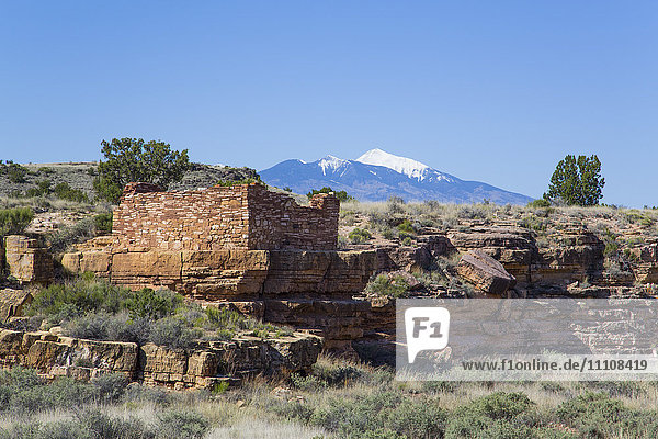 Lomaki Pueblo  bewohnt von etwa 1100 bis 1250 n. Chr.  Wupatki National Monument  Arizona  Vereinigte Staaten von Amerika  Nordamerika