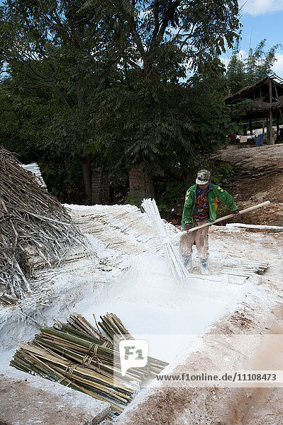 Ein Mann taucht Bambusbündel in Kalkmilch  um sie für die Papierherstellung zu trocknen  Hsipaw  Shan-Staat  Myanmar (Burma)  Asien