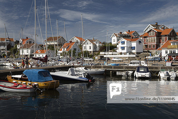 Blick über den Hafen des alten Fischerdorfs  Mollosund  Orust  Bohuslan-Küste  Südwestschweden  Schweden  Skandinavien  Europa