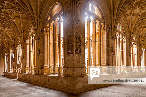 The cloister of Convento de San Esteban in Salamanca  Castile and Leon  Spain  Europe