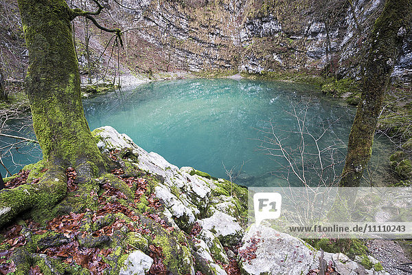 Slowenien  Naturpark Zgornja Idrijca  Der See Divje Jezero oder Wilder See ist eine Karstquelle des Vauclusian-Typs.