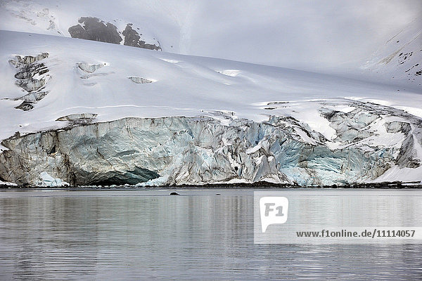 Norwegen  Svalbard-Inseln  Insel Spitzbergen  Gletscher