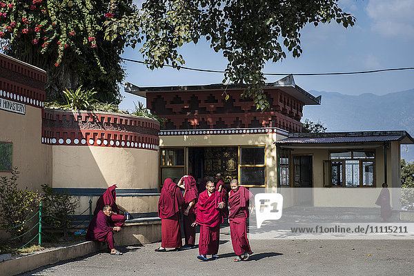 Nepal  Katmandu  Kopan monastery