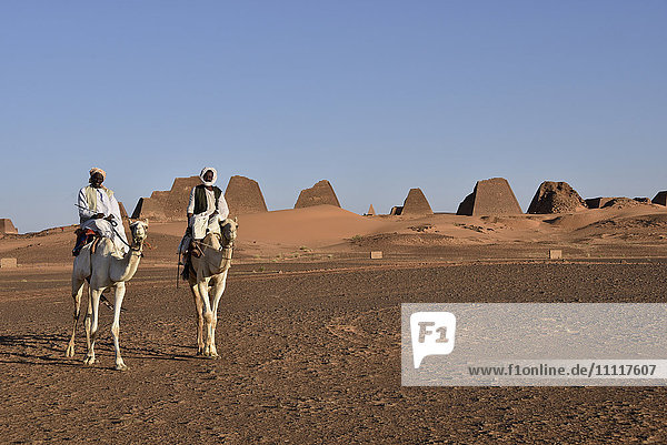 Africa  Sudan  Nubia  nomad with dromedary  Pyramids of Meroe in background