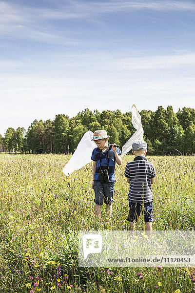 Sweden  Gotland  Boys (6-7  8-9) with butterfly nets in meadow with forest on horizon