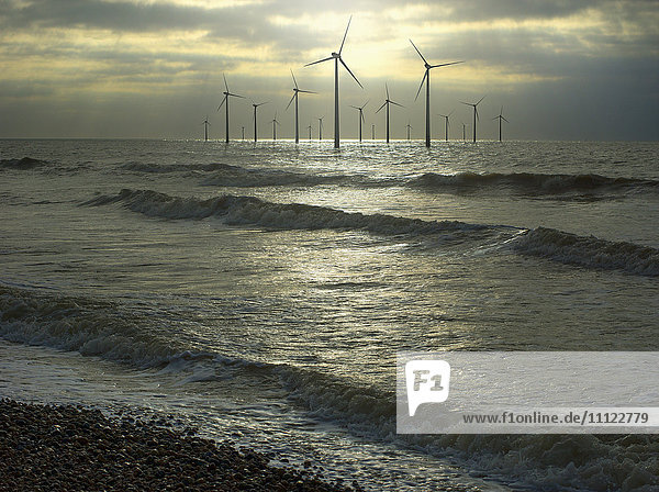 Windkraftanlagen im Meer  Brighton  Sussex  England