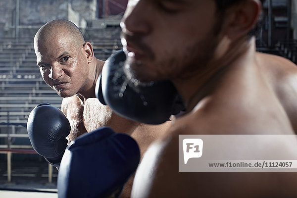 Hispanische Boxer beim Sparring im Fitnessstudio