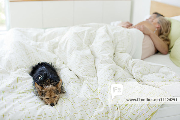Couple and dog sleeping in bed