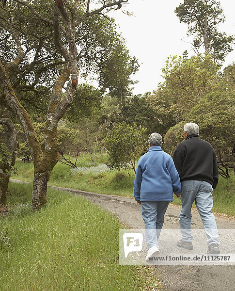 Älteres Paar hält sich an den Händen und geht im Freien spazieren