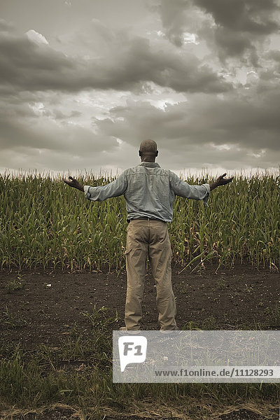 Afroamerikanischer Bauer steht mit ausgestreckten Armen auf einem Feld