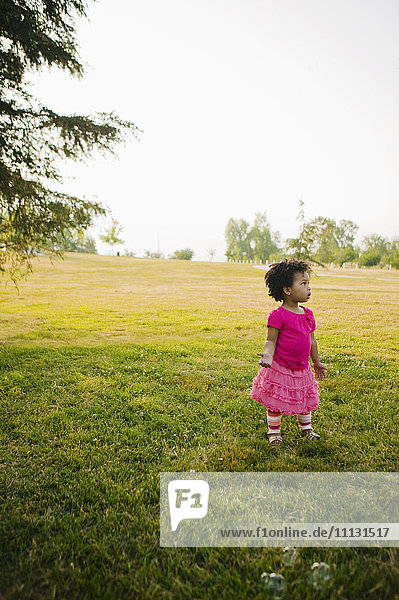 Schwarzes kleines Mädchen im Park stehend