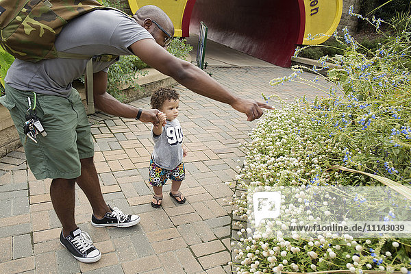 Vater und Kleinkind begutachten Pflanzen im Park