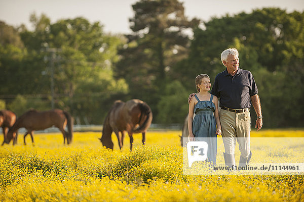 Kaukasischer Mann und Enkelin auf einem Feld mit Pferden
