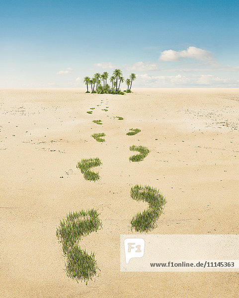 Grüne Grasfußspuren führen zu einer Oase in der Wüste